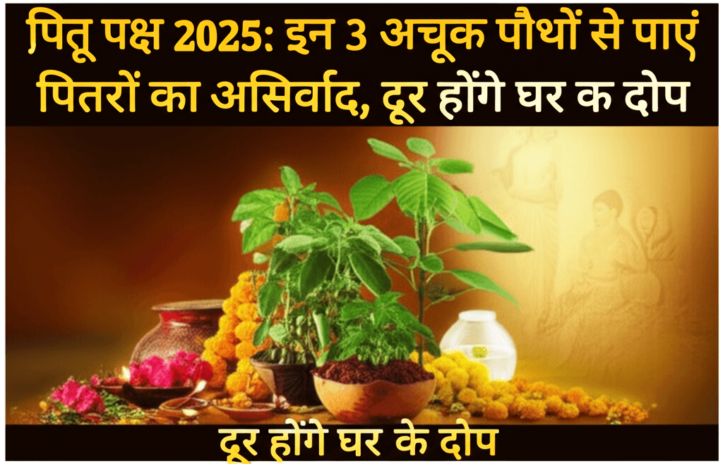 पितृ पक्ष: पौधों से पितरों का आशीर्वाद Focus keywords: पितृ पक्ष 2025 पितृ पक्ष पितरों का आशीर्वाद घर के दोष पौधे